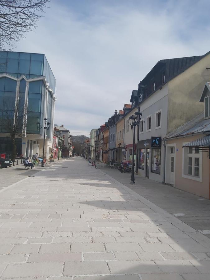 Downtown Apartment Cetinje Exteriör bild